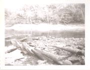 Confederate obstructions, Neuse River, Kinston, N.C.